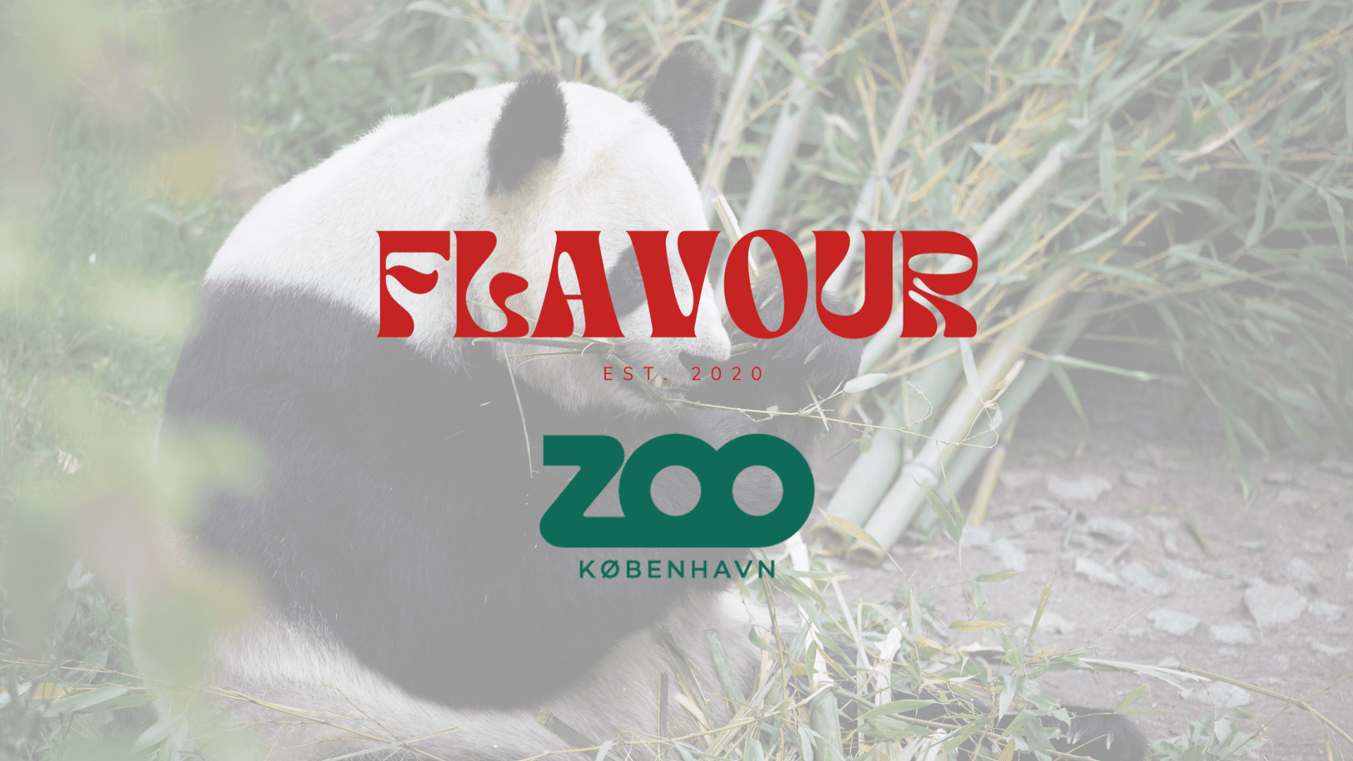 FLAVOUR - Zoologisk Have København