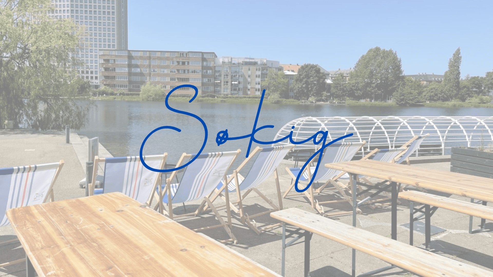 Søkig